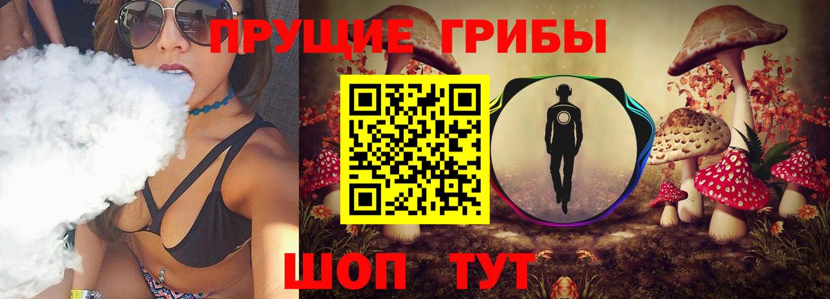Артём  Псилоцибиновые грибы Psilocybine cubensis  Вход с VPN 
