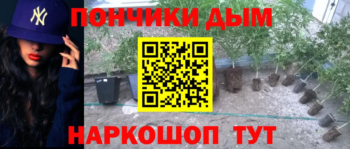 Каннабис SATIVA & INDICA  Шишки марихуана MAZAR  Шишки марихуана Amnesia  Вход с VPN  Артём  Конопля тримм 